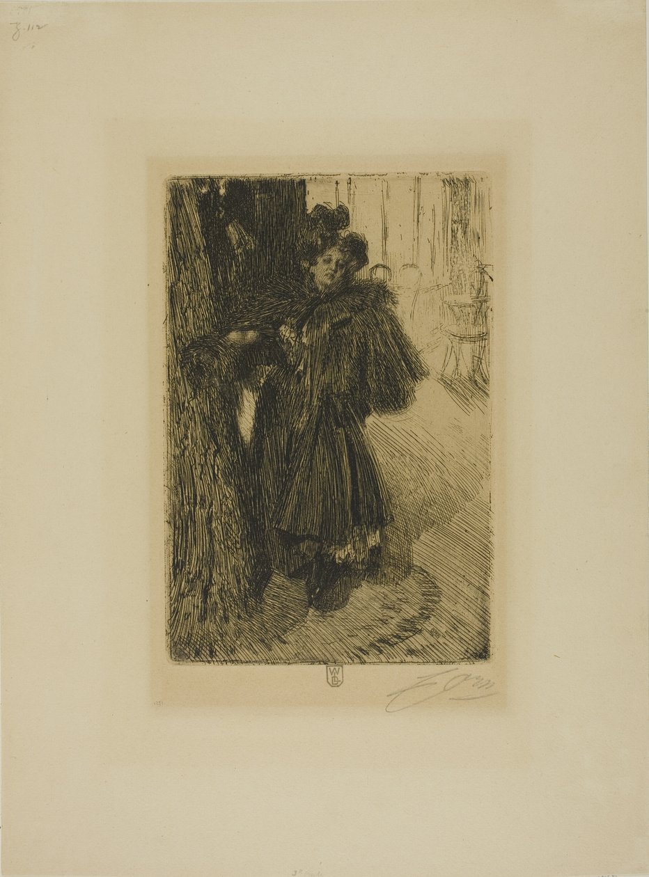 IIスウェーデンの夜の効果 av Anders Leonard Zorn