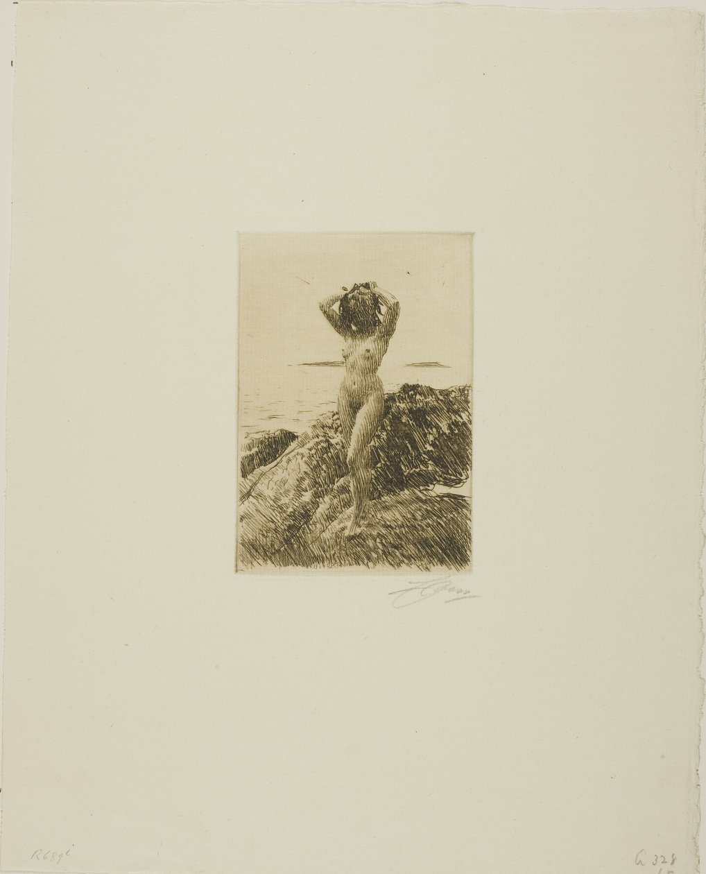 Hårtång (Sjövedskrans) av Anders Leonard Zorn