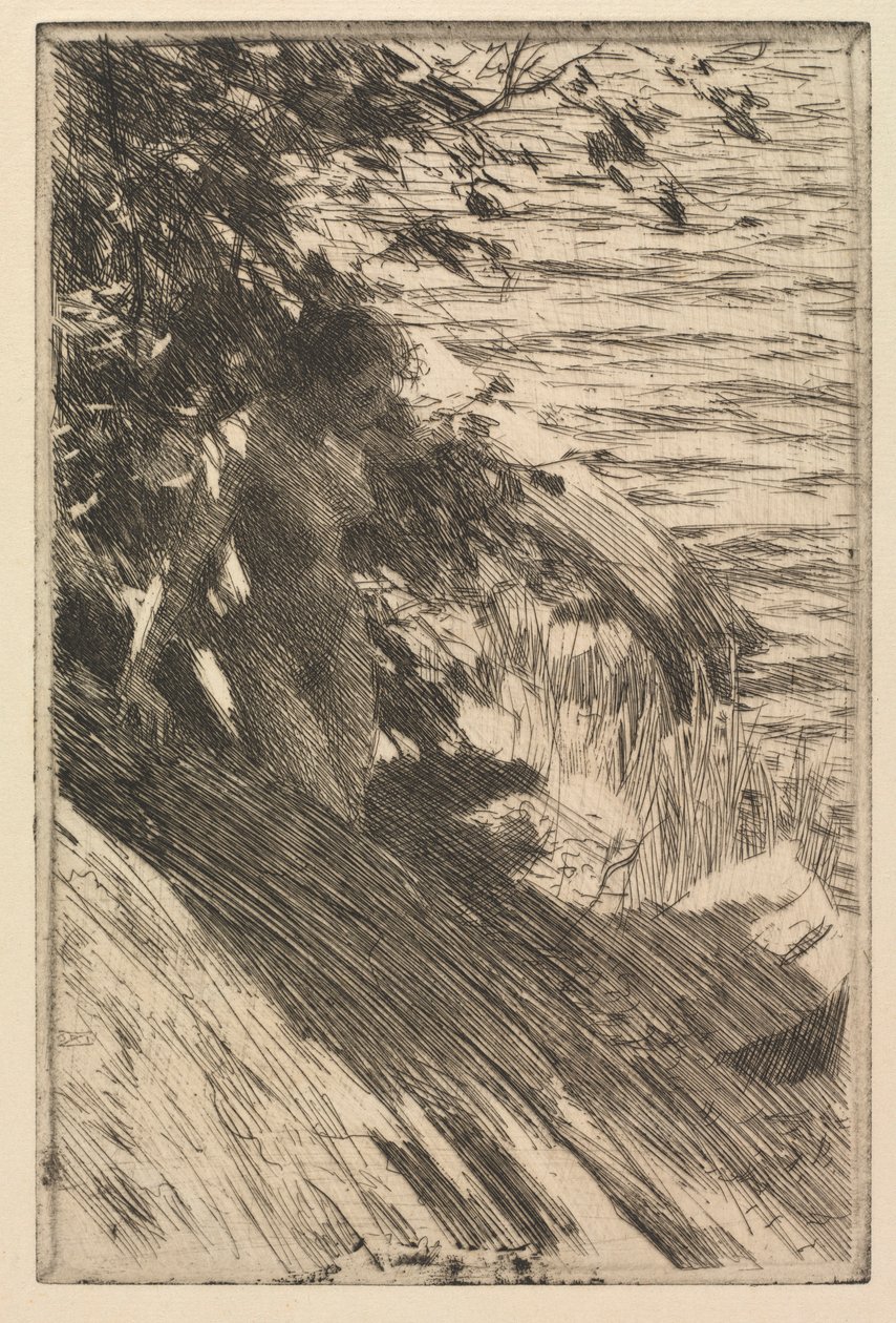 Den store badaren, 1895. av Anders Leonard Zorn