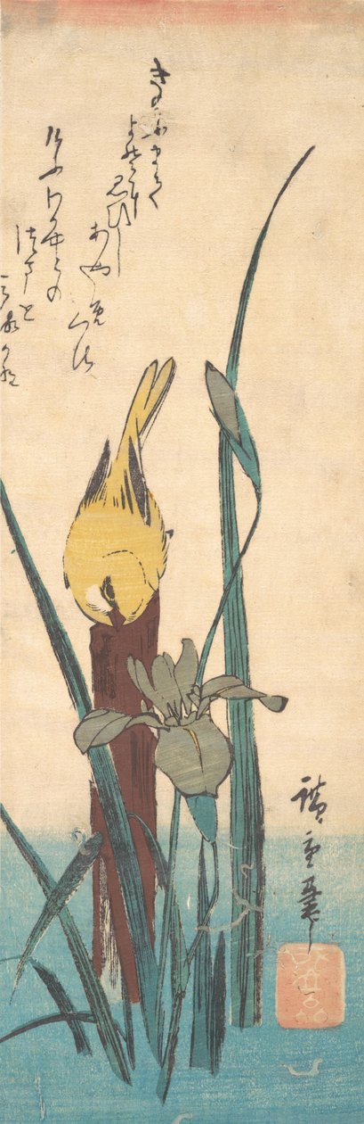 Fågel och Iris. av Ando Hiroshige