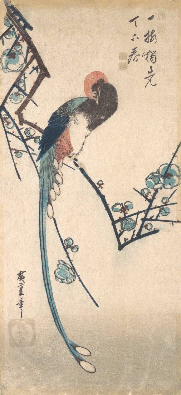 Långsvansfågel. av Ando Hiroshige
