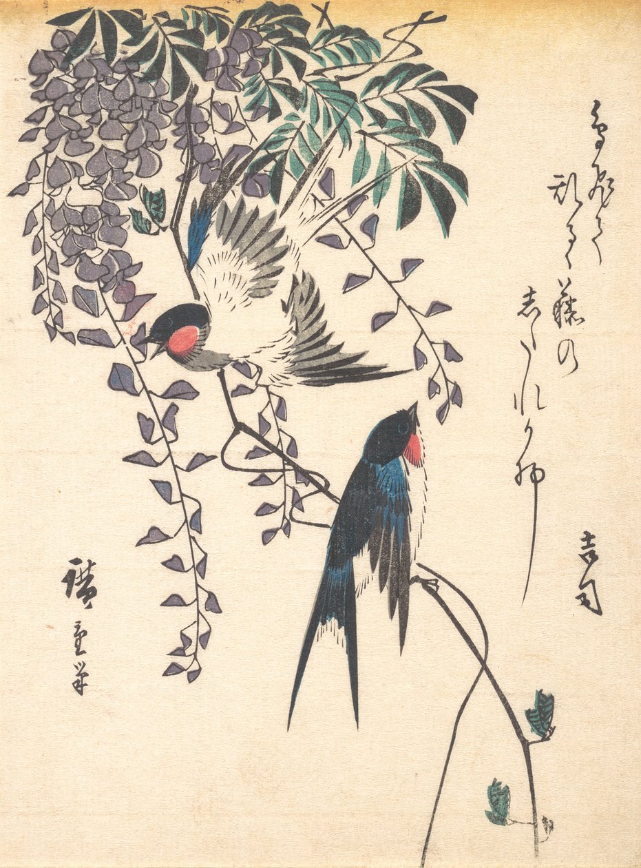 Svala och Wisteria, mitten av 1840-talet, mitten av 1840-talet. av Ando Hiroshige