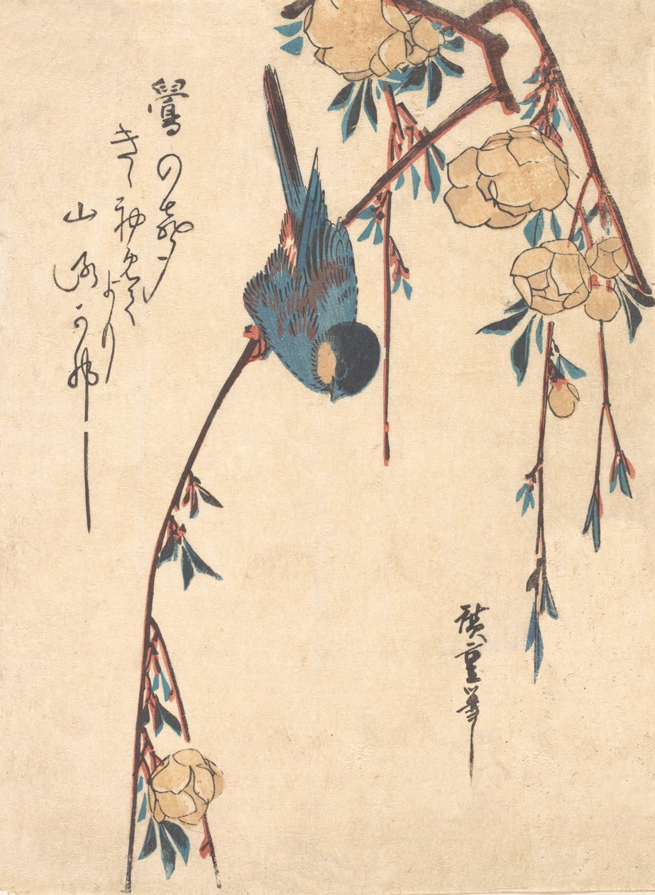 Gråtande körsbär. av Ando Hiroshige