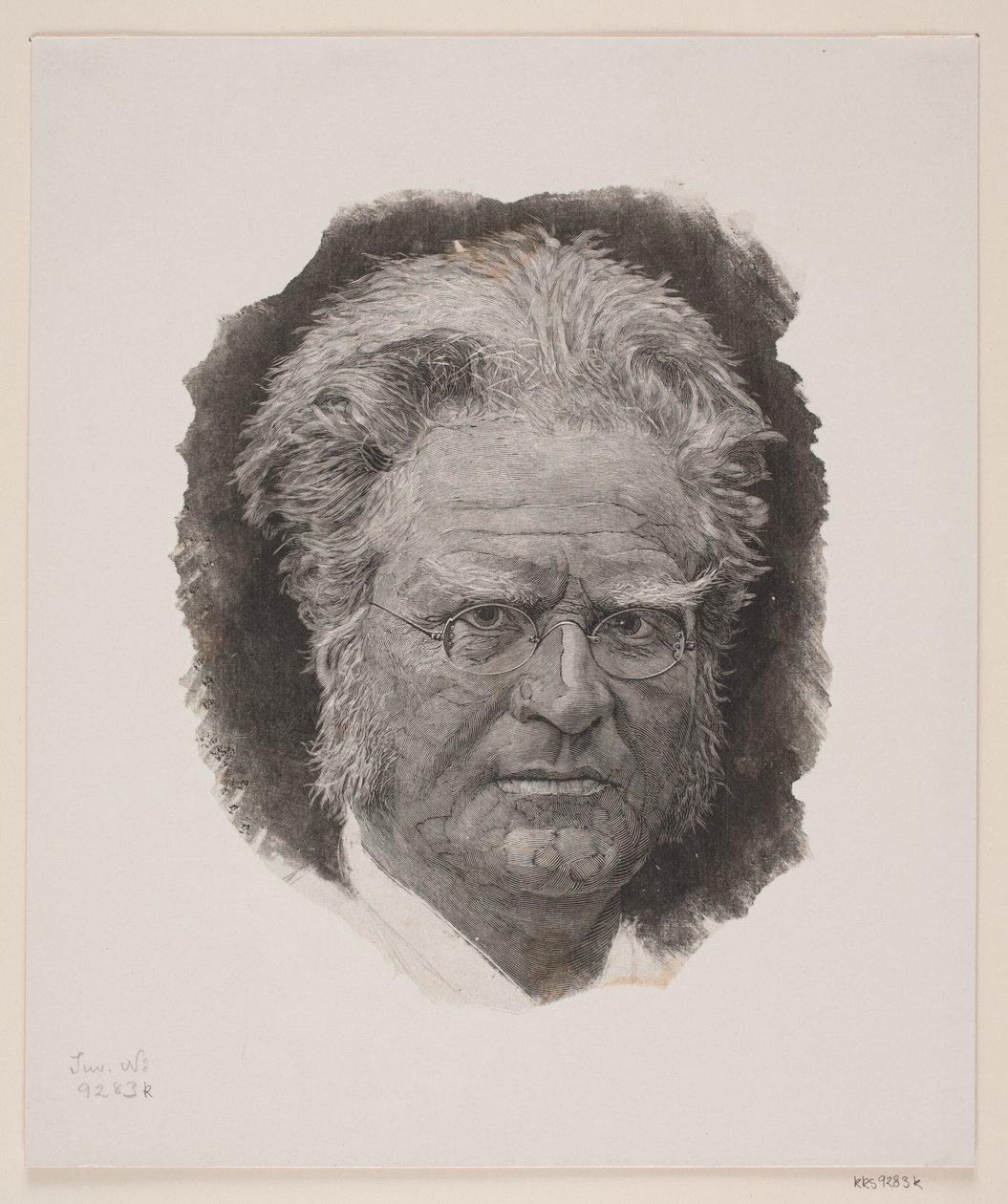 Bjørnstjerne. Björnson av André Bork