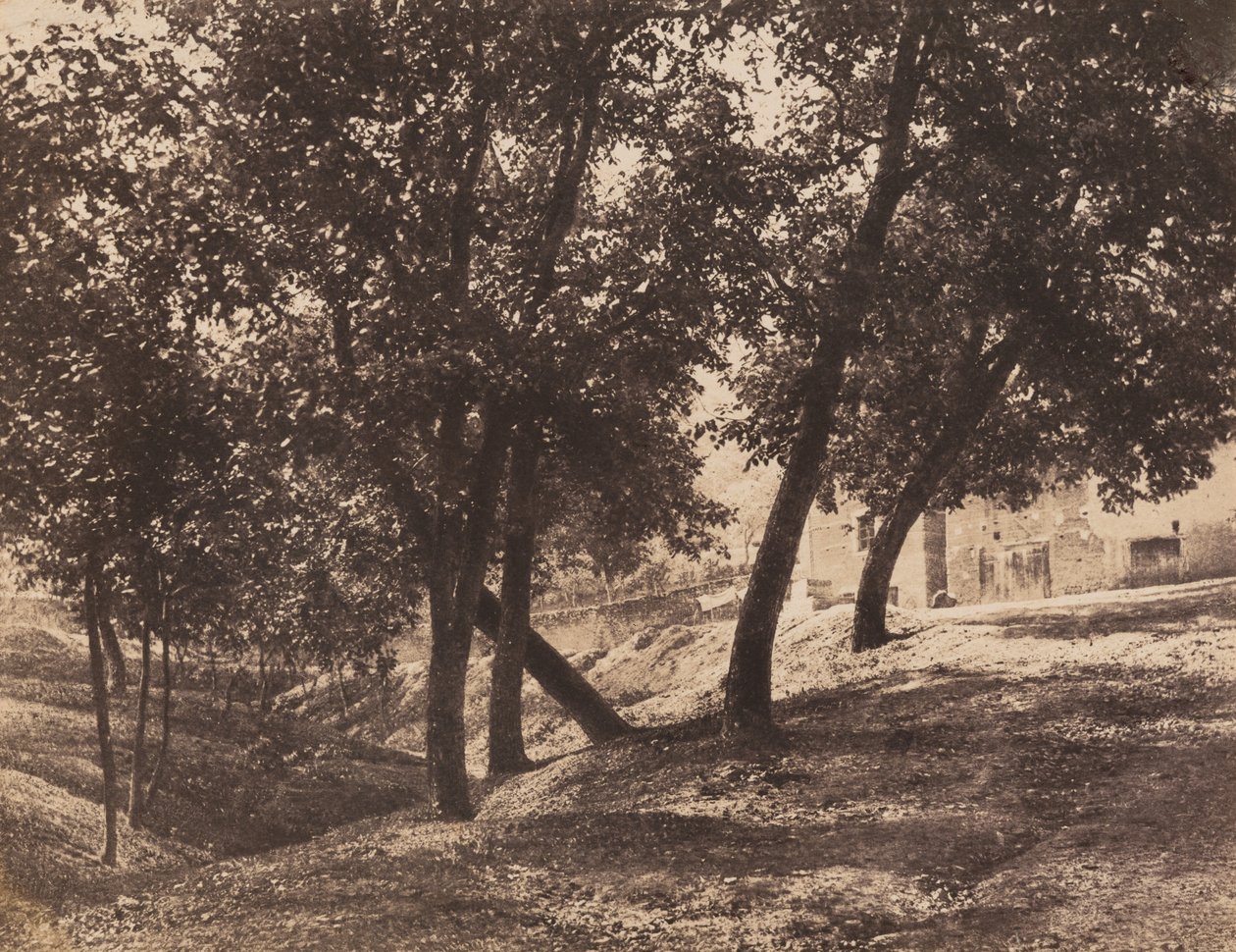 Träd, c. 1855. av André Giroux