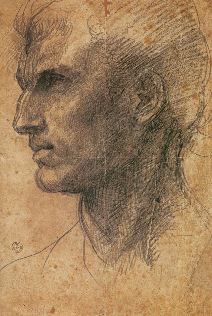 Head of a Man in Profile Facing Left av Andrea del Sarto