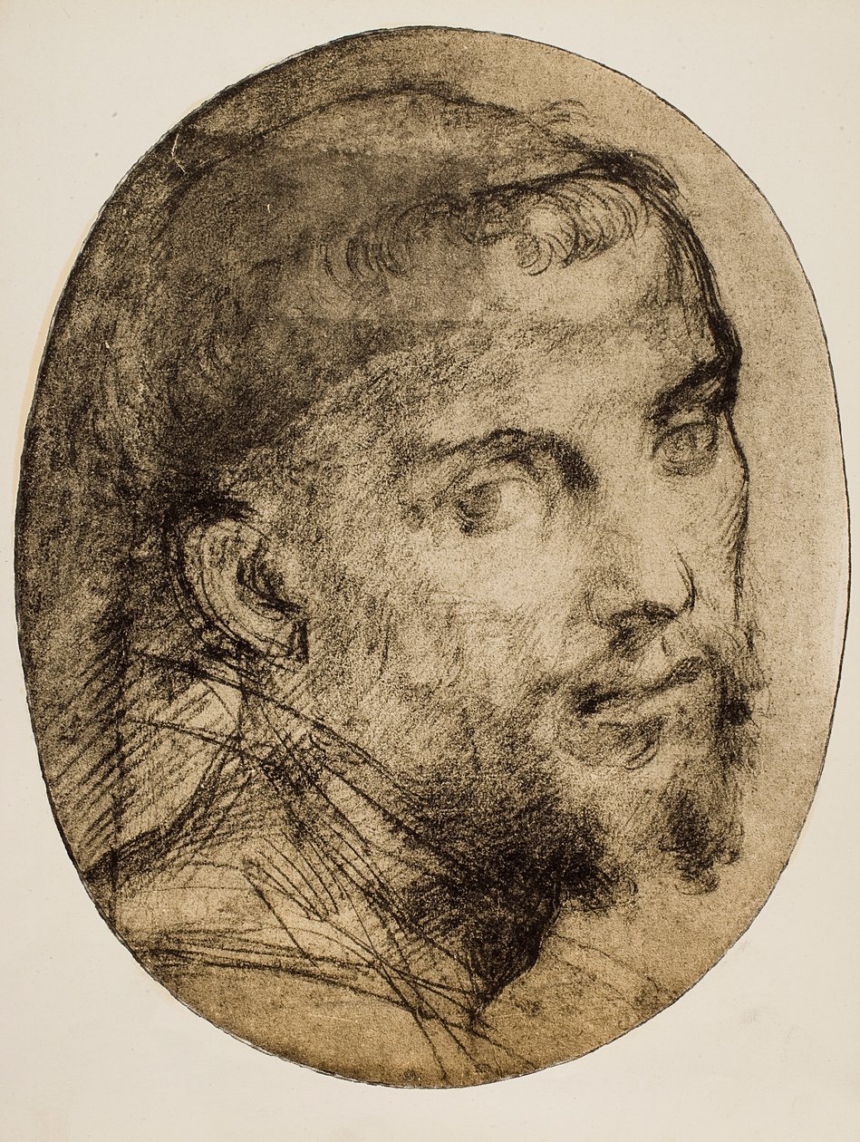 Studie för ett religiöst porträtt av Andrea del Sarto