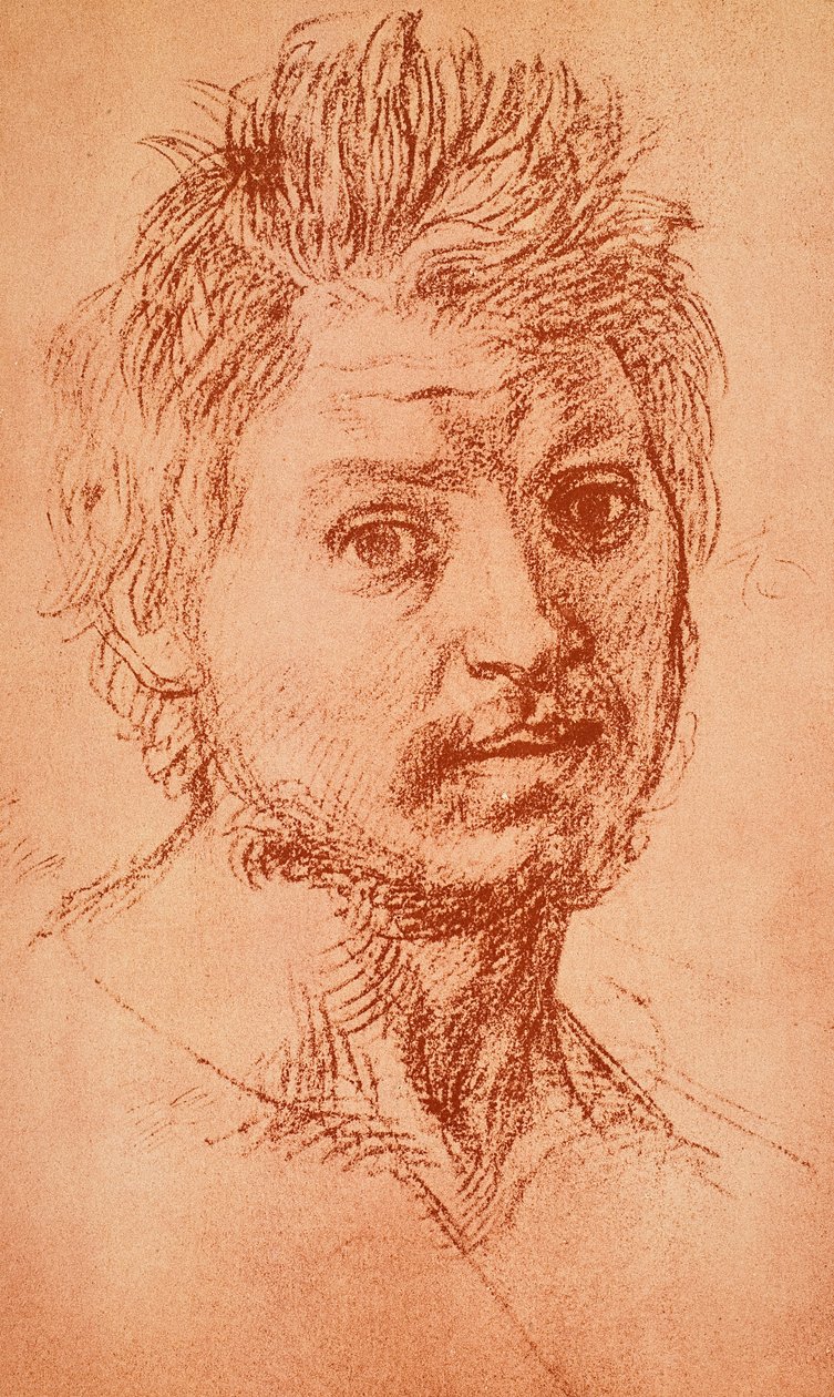 Virilt huvud av Andrea del Sarto
