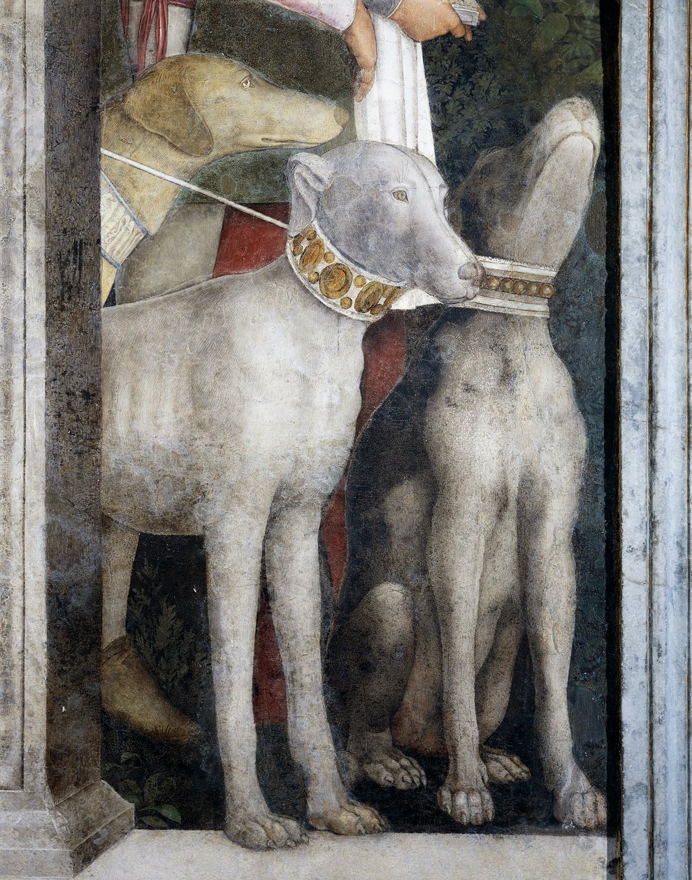 Molossiske hunde, detalje fra Meeting Wallswed av Andrea Mantegna