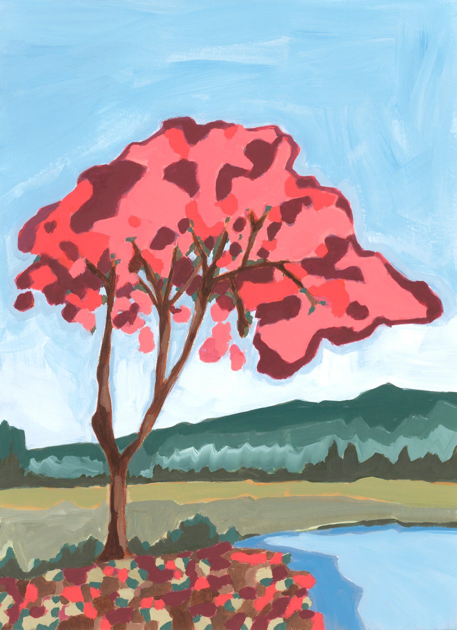 Acacia, 2024 (akryl på papper) av Andrea Mejia