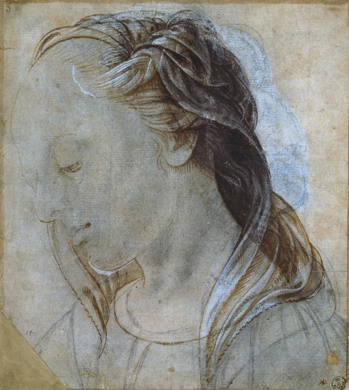 Kvinnligt huvud (ritning) av Andrea Verrocchio
