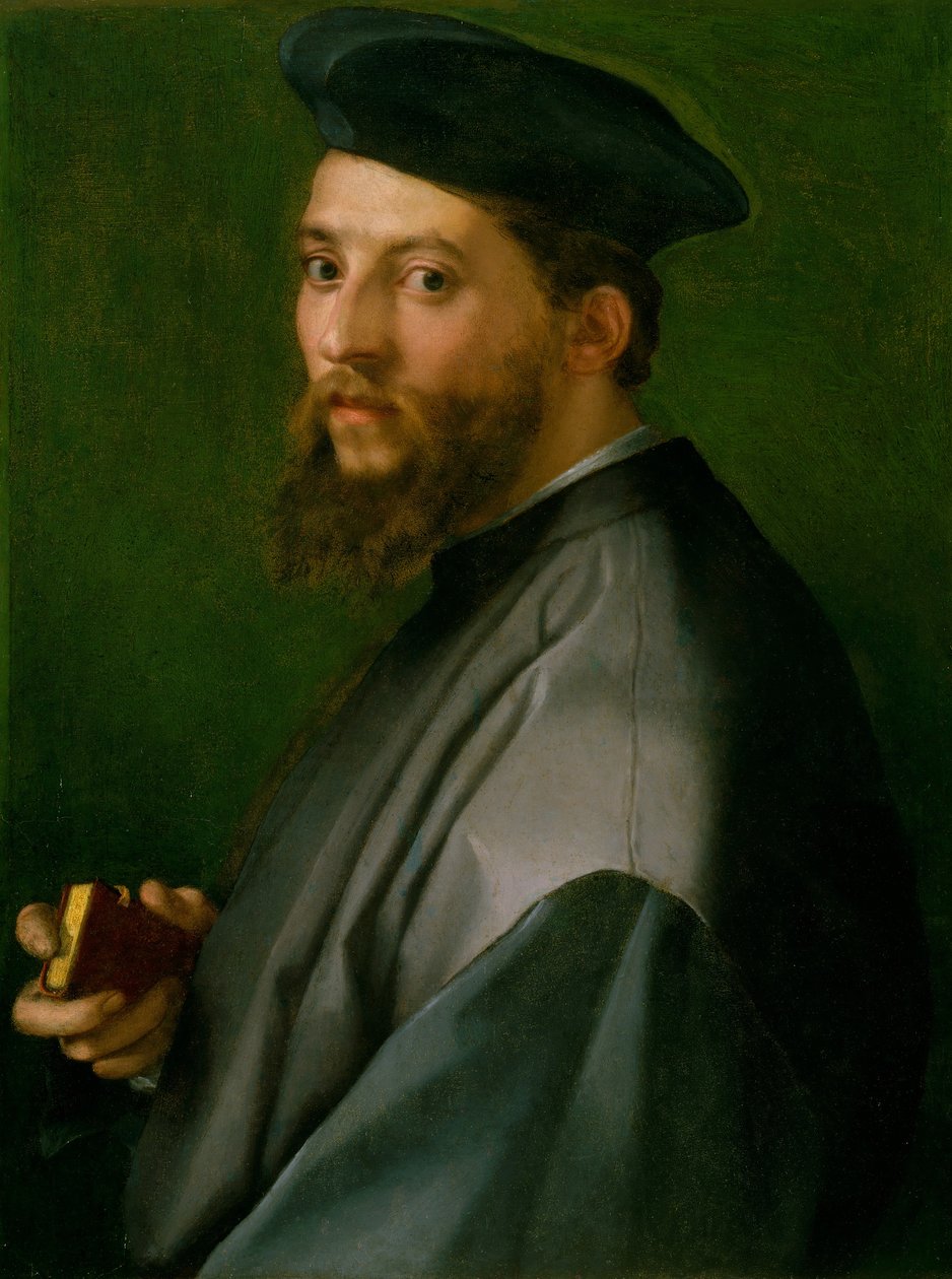 Porträtt av en man, 1528-30. av Andrea del Sarto