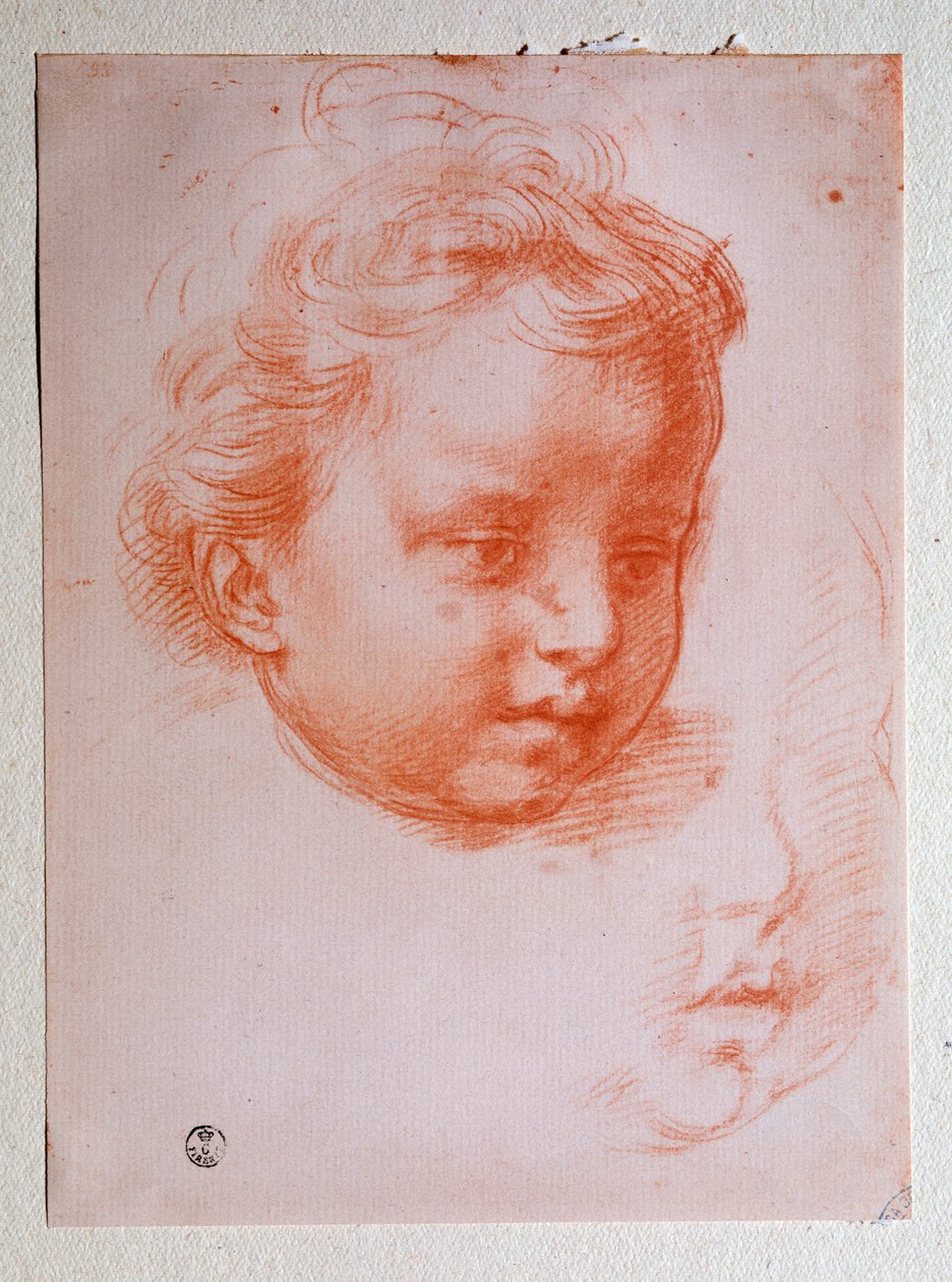 Puttos huvud (ritning av Andrea del Sarto