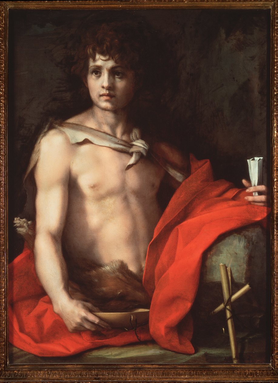 Johannes Döparen (målning av Andrea del Sarto
