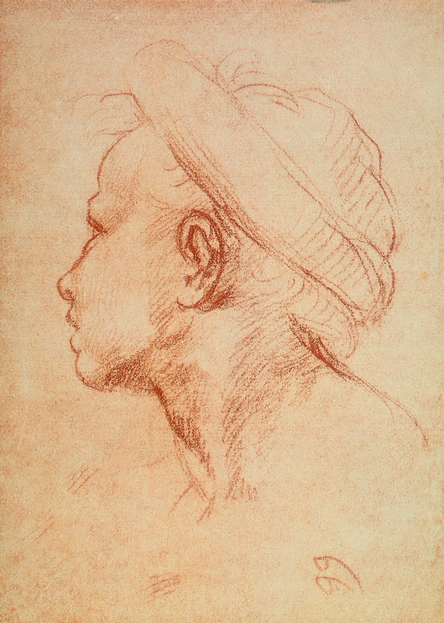 Ungdomars huvud i profil av Andrea del Sarto