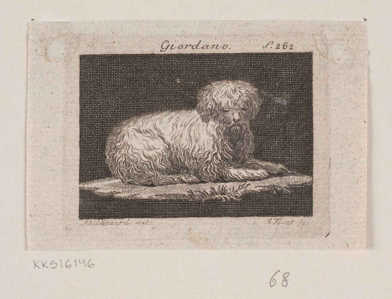 Giordano, en liggande hund av Andreas Flint