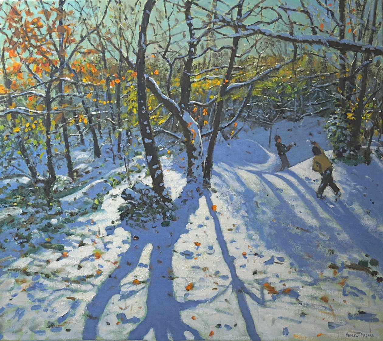 Allestree Park Woods november, 2010 av Andrew Macara