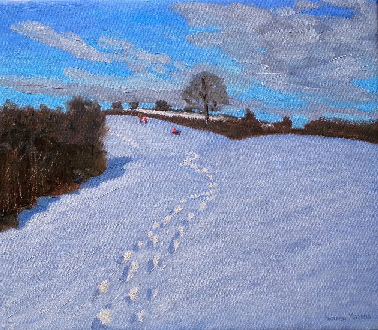 Footprints in the Snow, 2009 av Andrew Macara