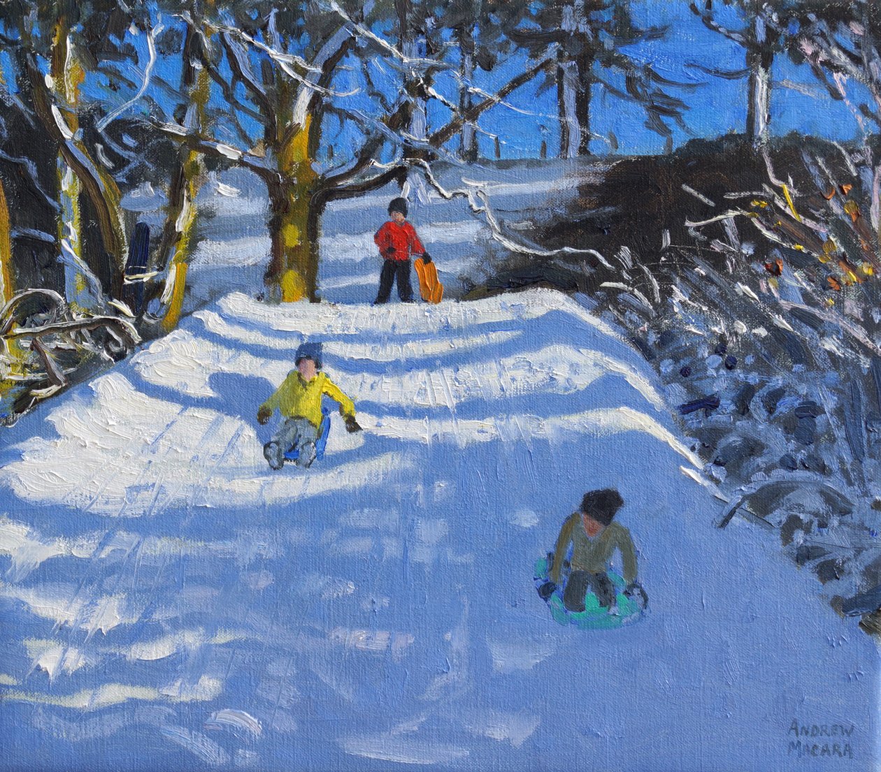 Kul i snön,Wash Green,Derbyshire, 2014, av Andrew Macara
