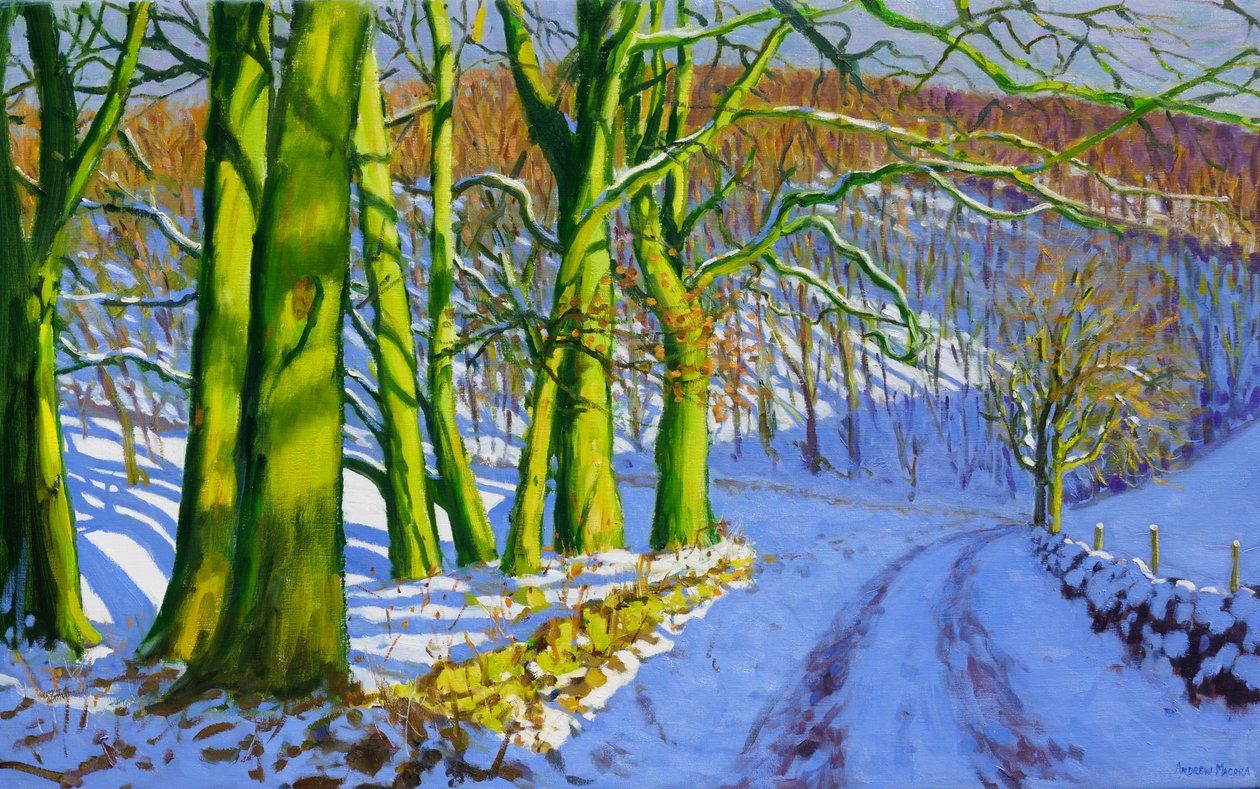 Gröna träd, vinter; Dam Lane; Derbyshire, av Andrew Macara