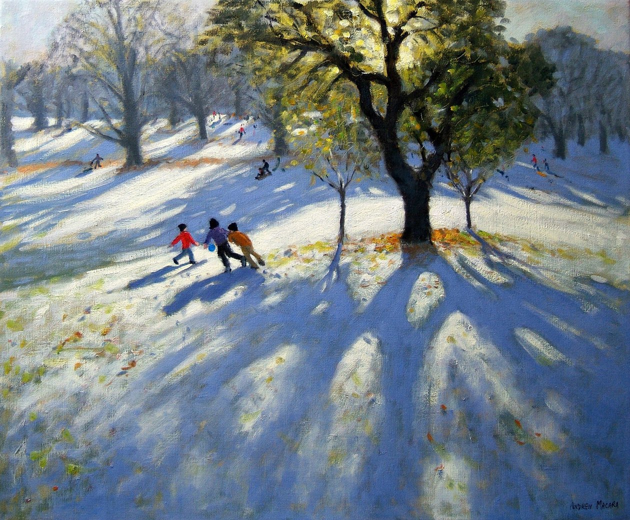 Markeaton Park, tidig snö av Andrew Macara
