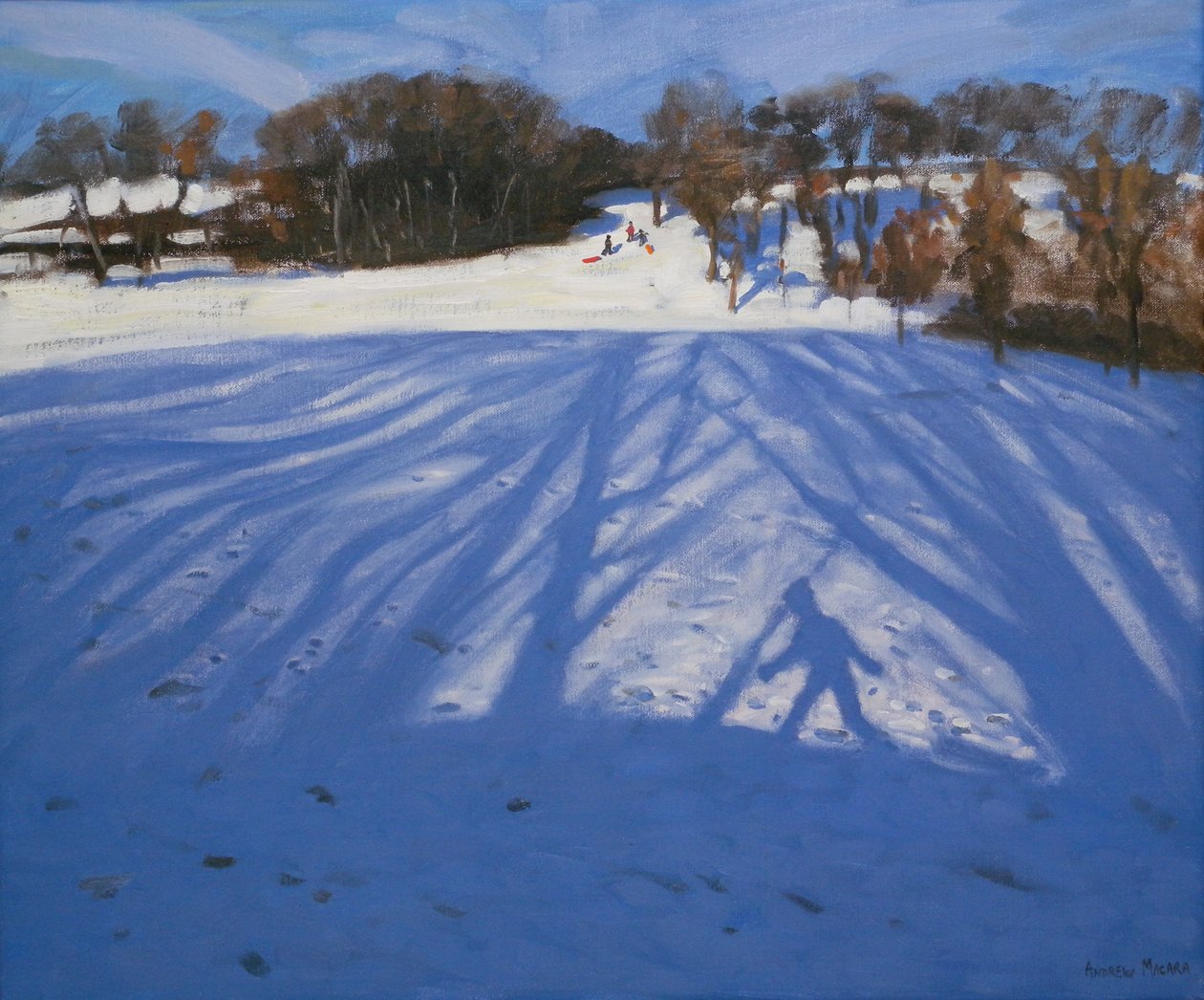 Shadow of Sledger, 2008 av Andrew Macara