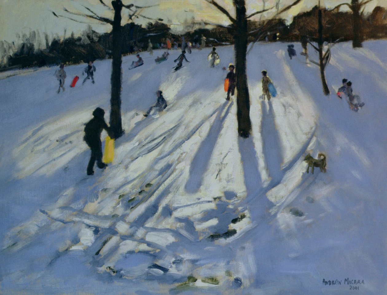 Snow, Rykneld Park, Derby, 2001 av Andrew Macara