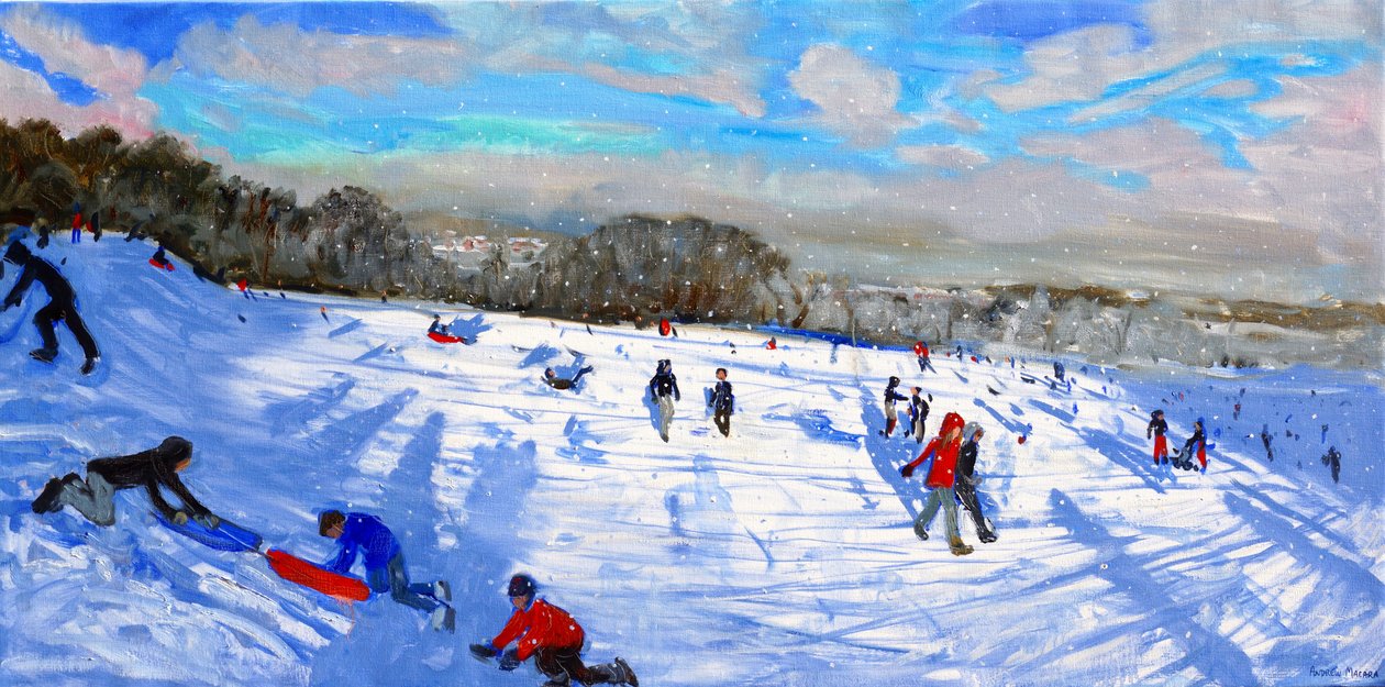 Snöbyar, Allestree Park, Derby. av Andrew Macara