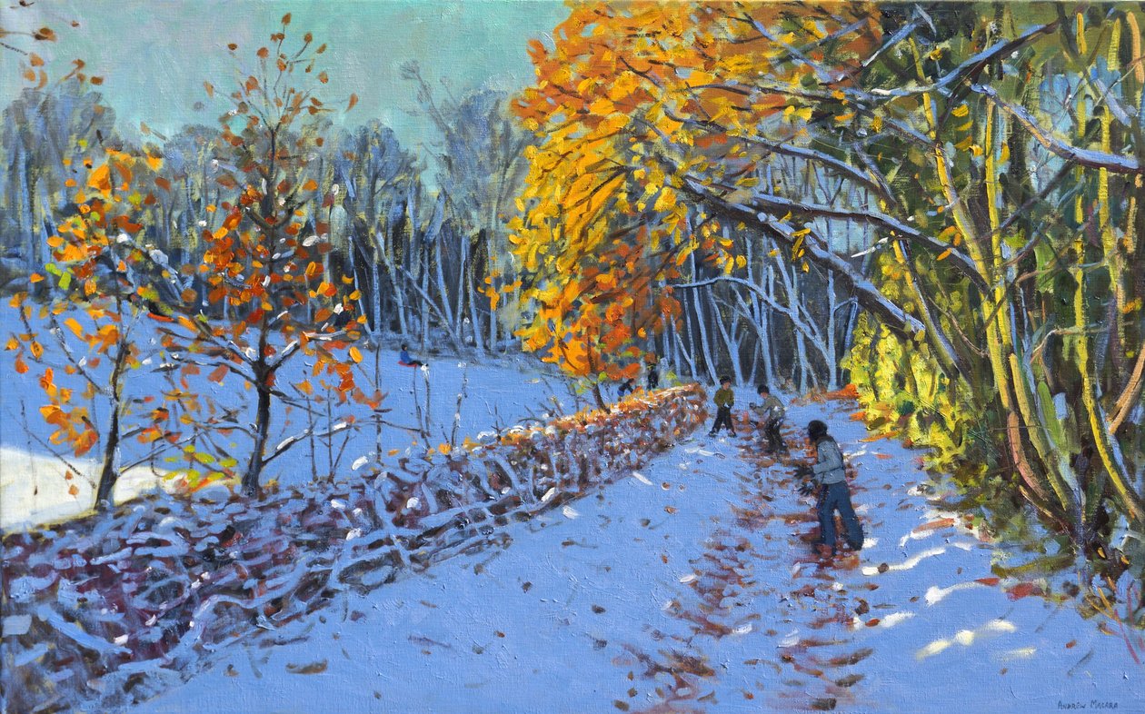 Snöboll, Allestree Park, Derby, 2014 av Andrew Macara