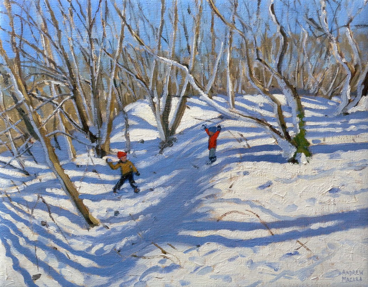 Spring Snow, Newhaven Derbyshire, 2008 av Andrew Macara
