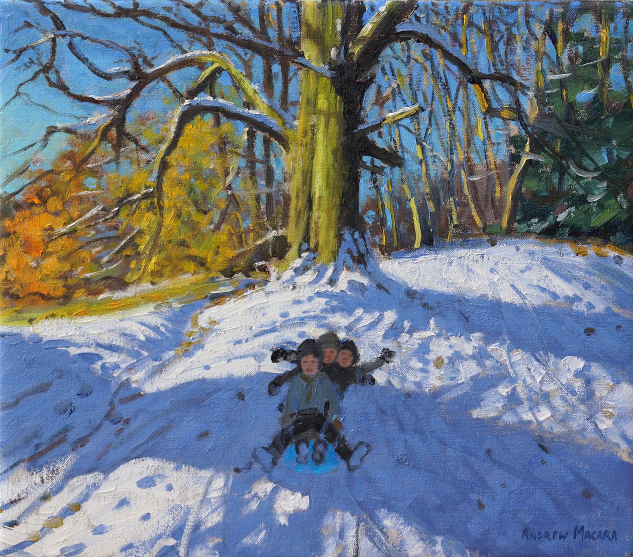 Tre på en släde, Allestree Park Derby .2014, av Andrew Macara