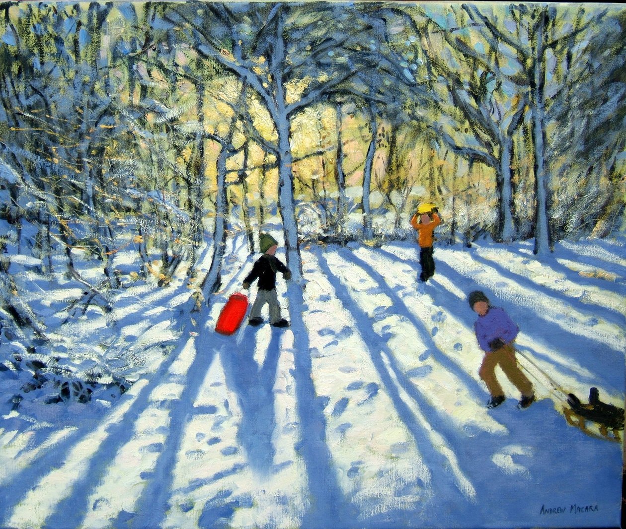 Skogsmark på vintern, nära Ashbourne, Derbyshire av Andrew Macara