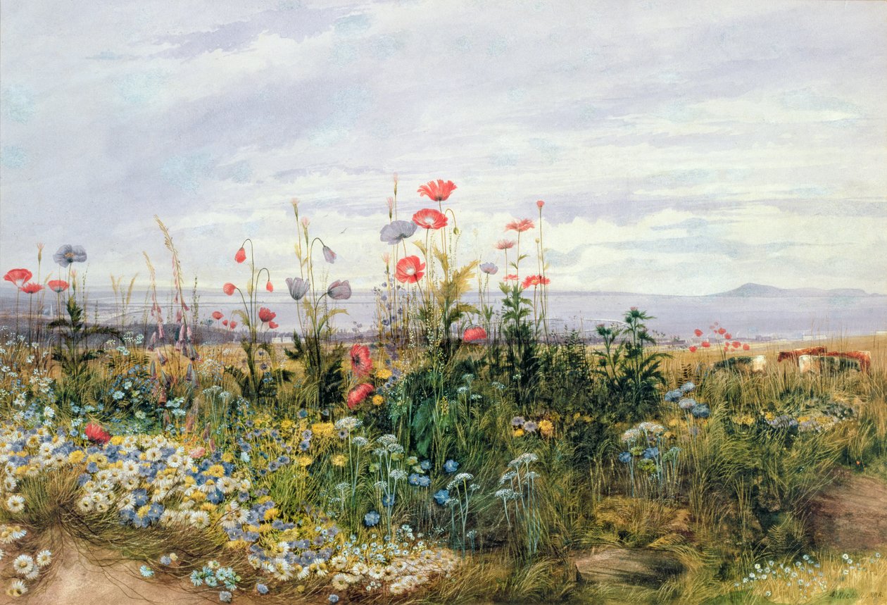 Vilda blommor med utsikt över Dublin Dunleary av Andrew Nicholl