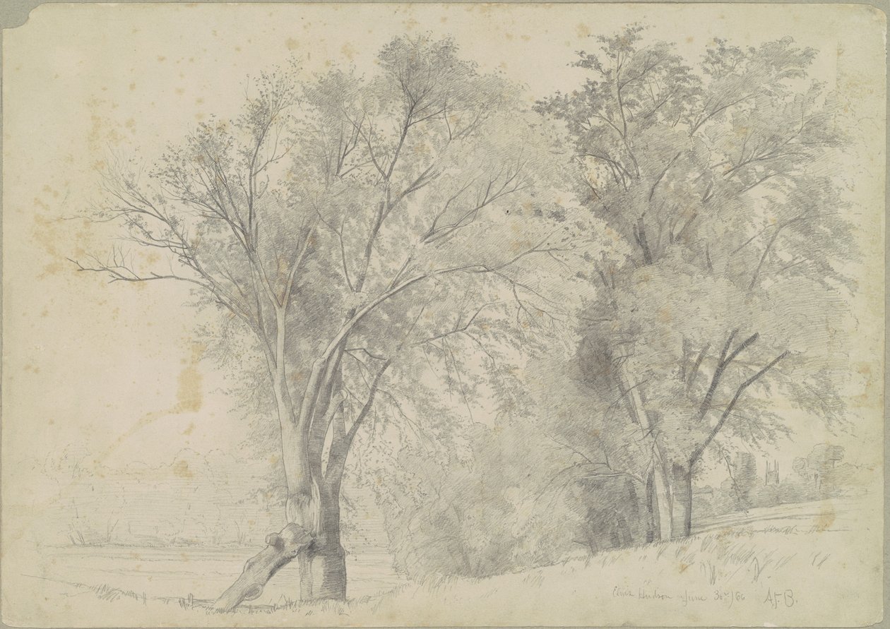 Elms, Hudson av Andrew Fisher Bunner