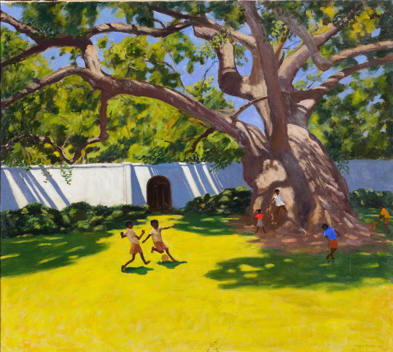 ANTIKA KAMPORTRÄD, VERGELEGEN ESTATE, SYDAFRIKA av Andrew Macara