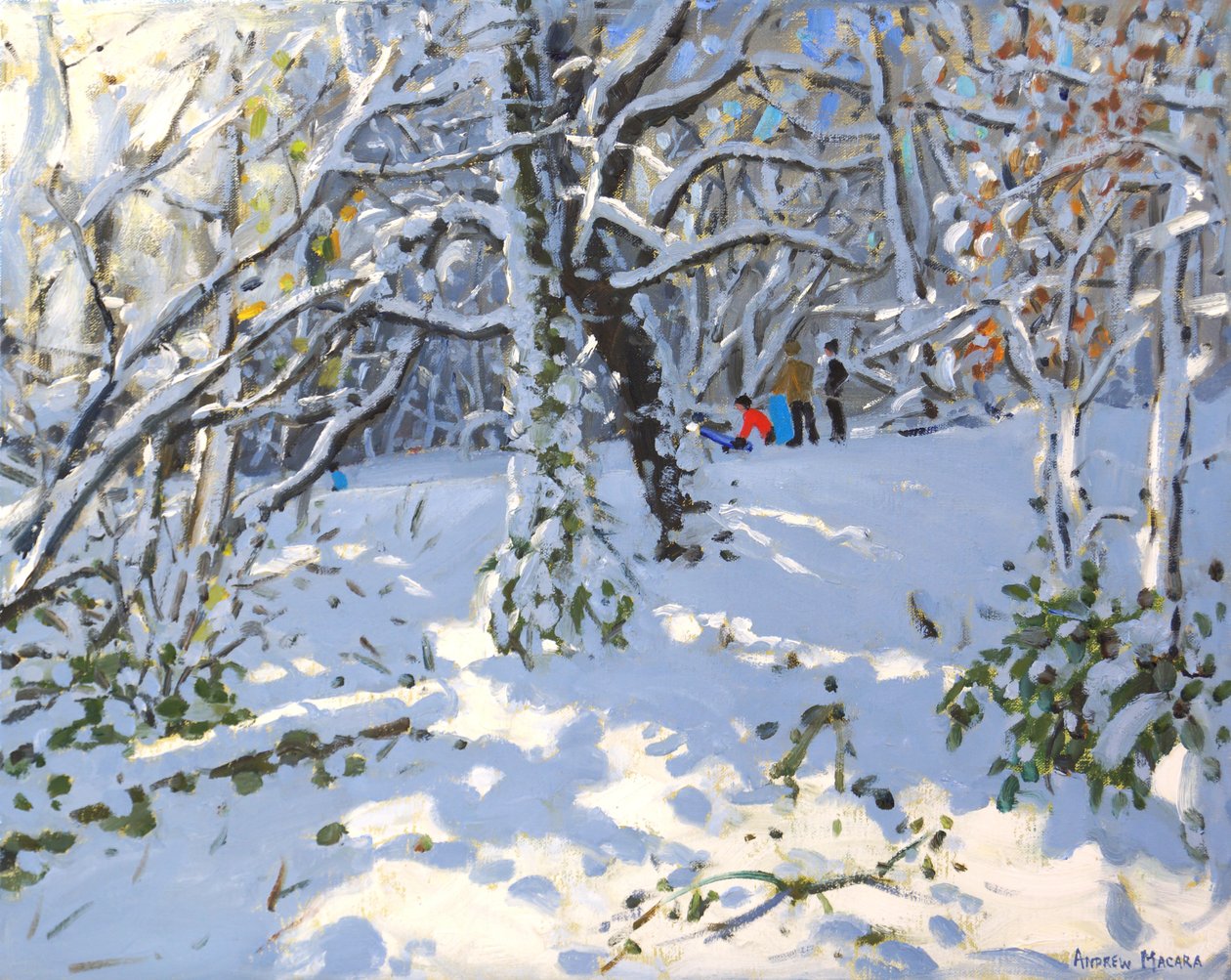 Julpulka i Allestree Woods,16x20 ,2013 av Andrew Macara