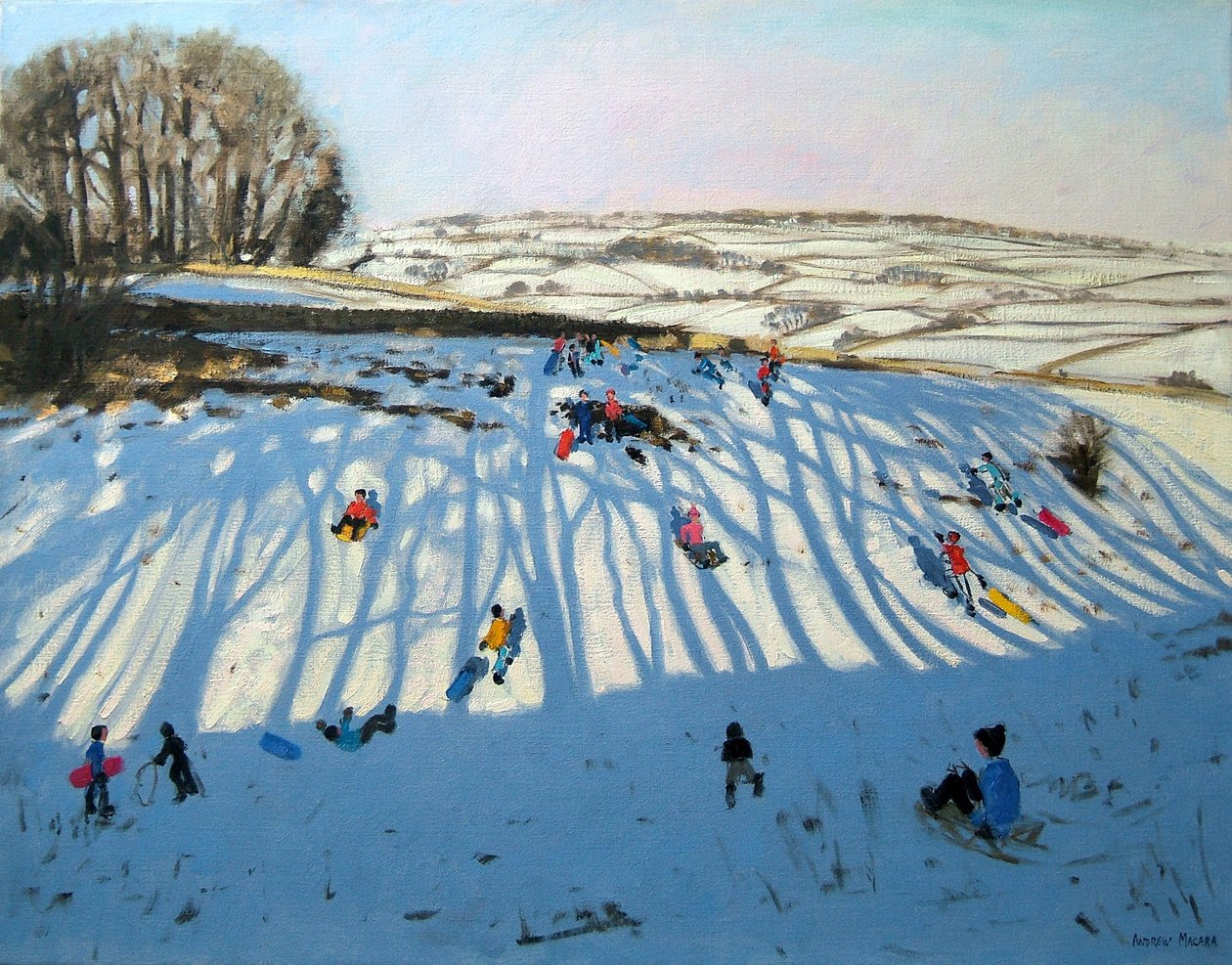 Fields of Shadows, Monyash, Derbyshire av Andrew Macara