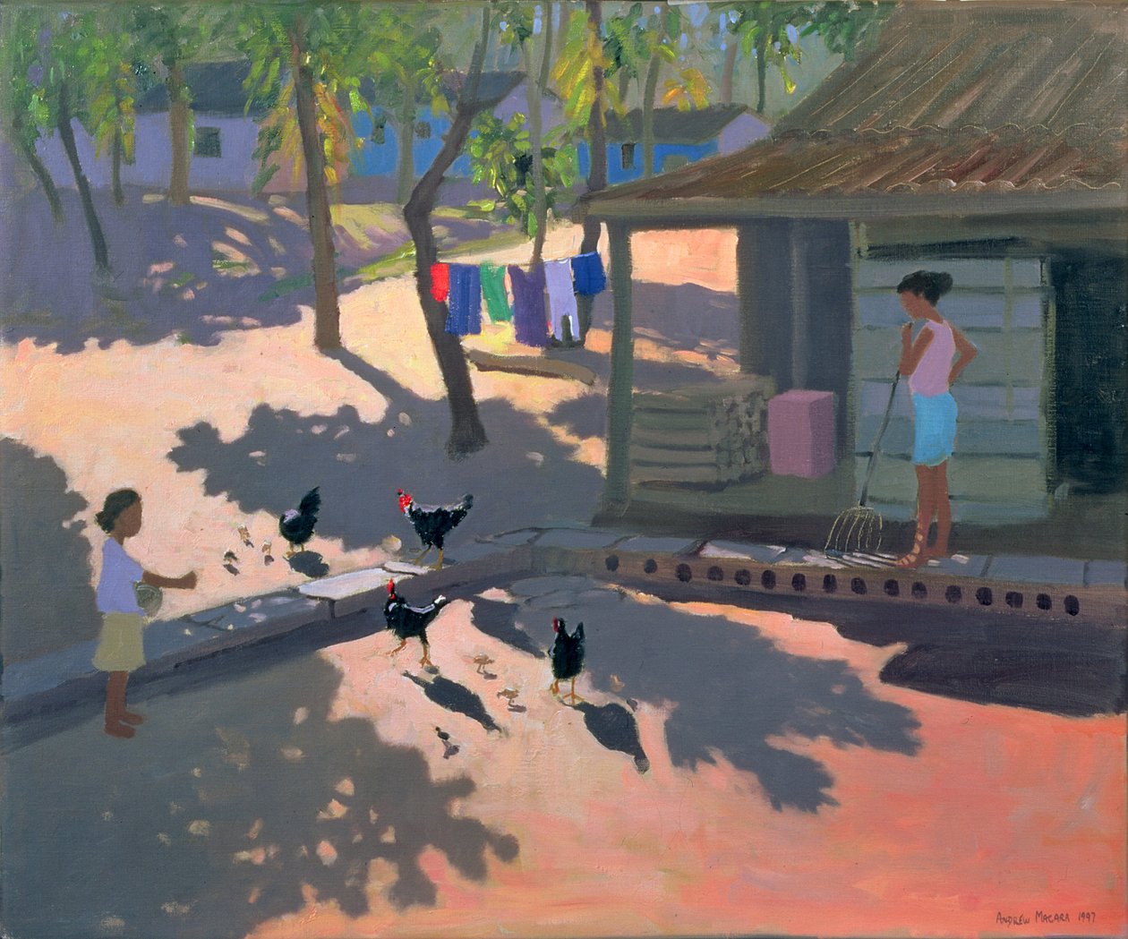 Hens and Chickens, Kuba, 1997 av Andrew Macara