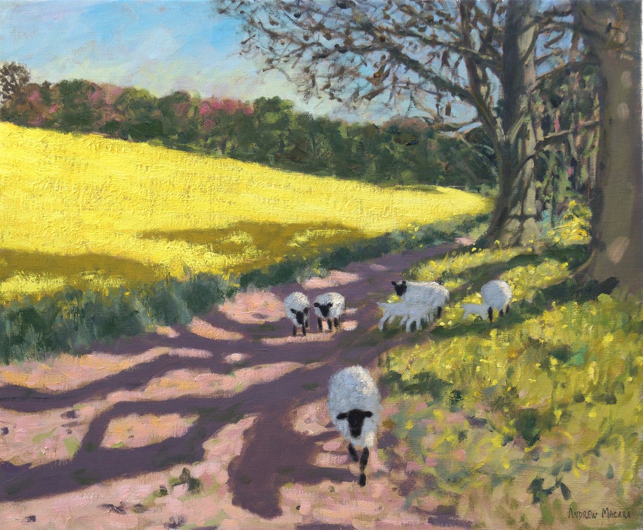 Får och gult fält, 2017, av Andrew Macara