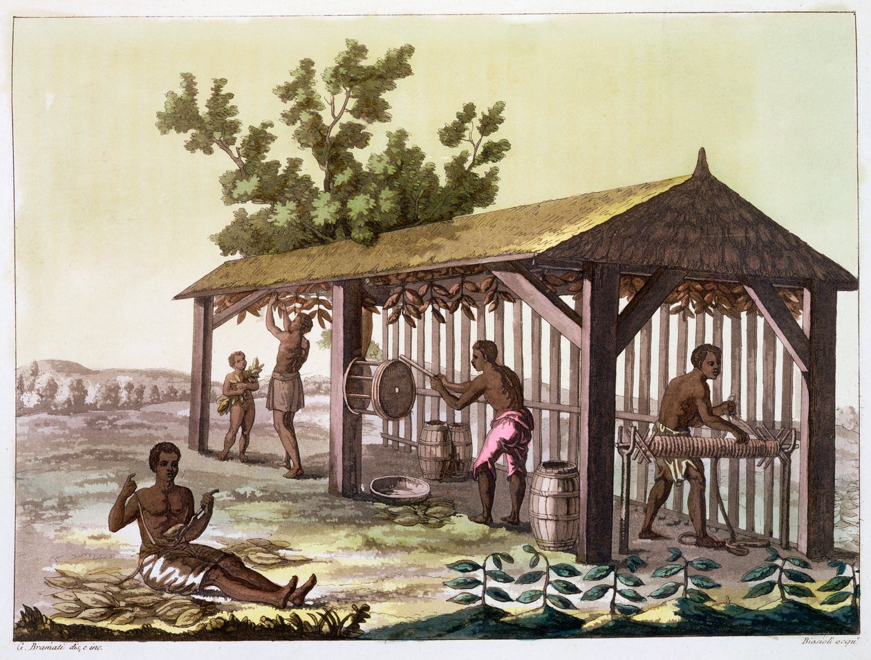 Slavar som förbereder tobak, Virginia, USA. c1790 c1820-1839 av Angelo Biasioli