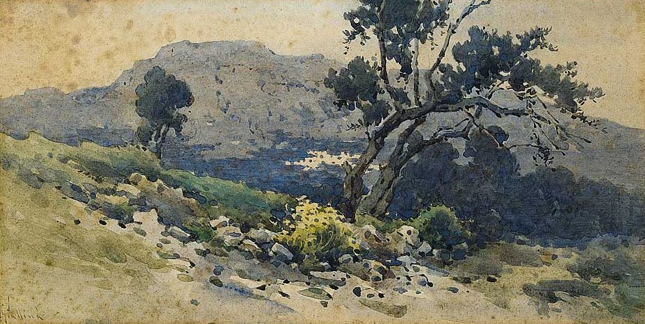   nEnglish: Old olive treen av Angelos Giallinas