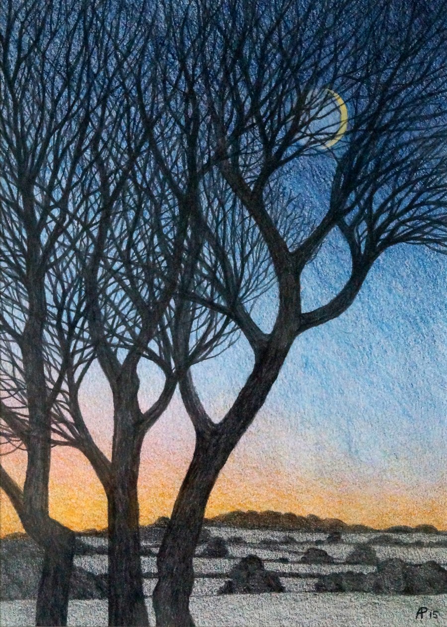 Trees and Moon, 2015 (blandteknik på papper) av Anna Phillips