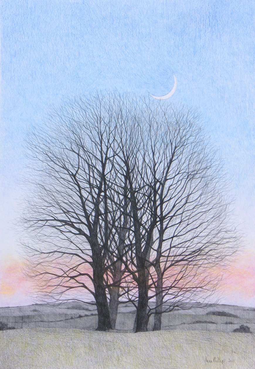 New Moon, 2011 (färgpenna på papper) av Anna Phillips
