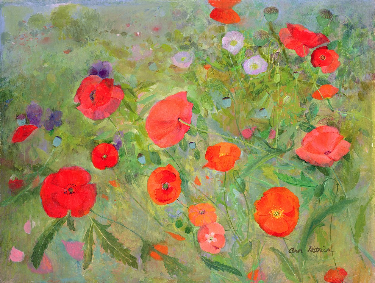 Arpeggiando, 1998 av Ann Patrick