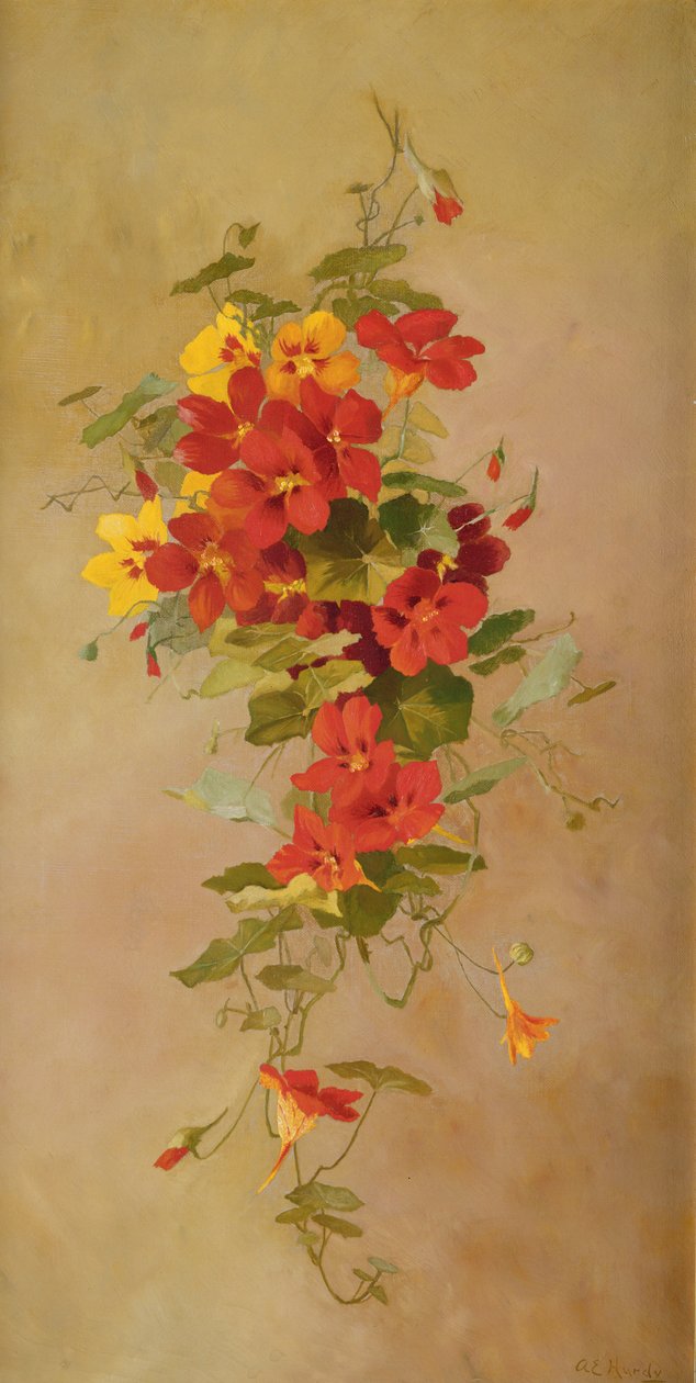 Nasturtiums av Anna Eliza Hardy
