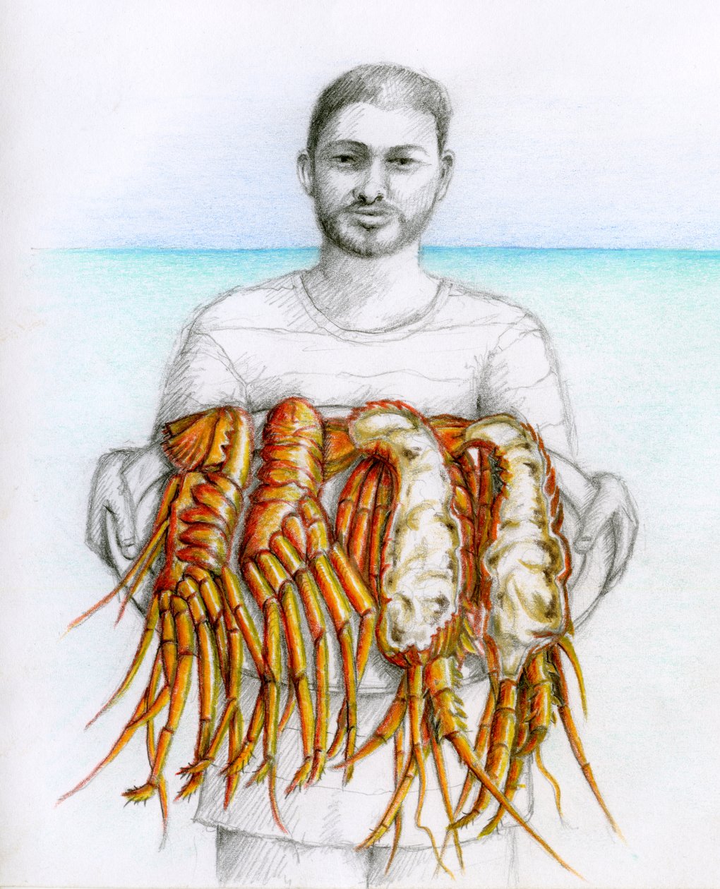 Havskräfta, 2019 (blyerts  färgpenna) av Annalisa Morrocco