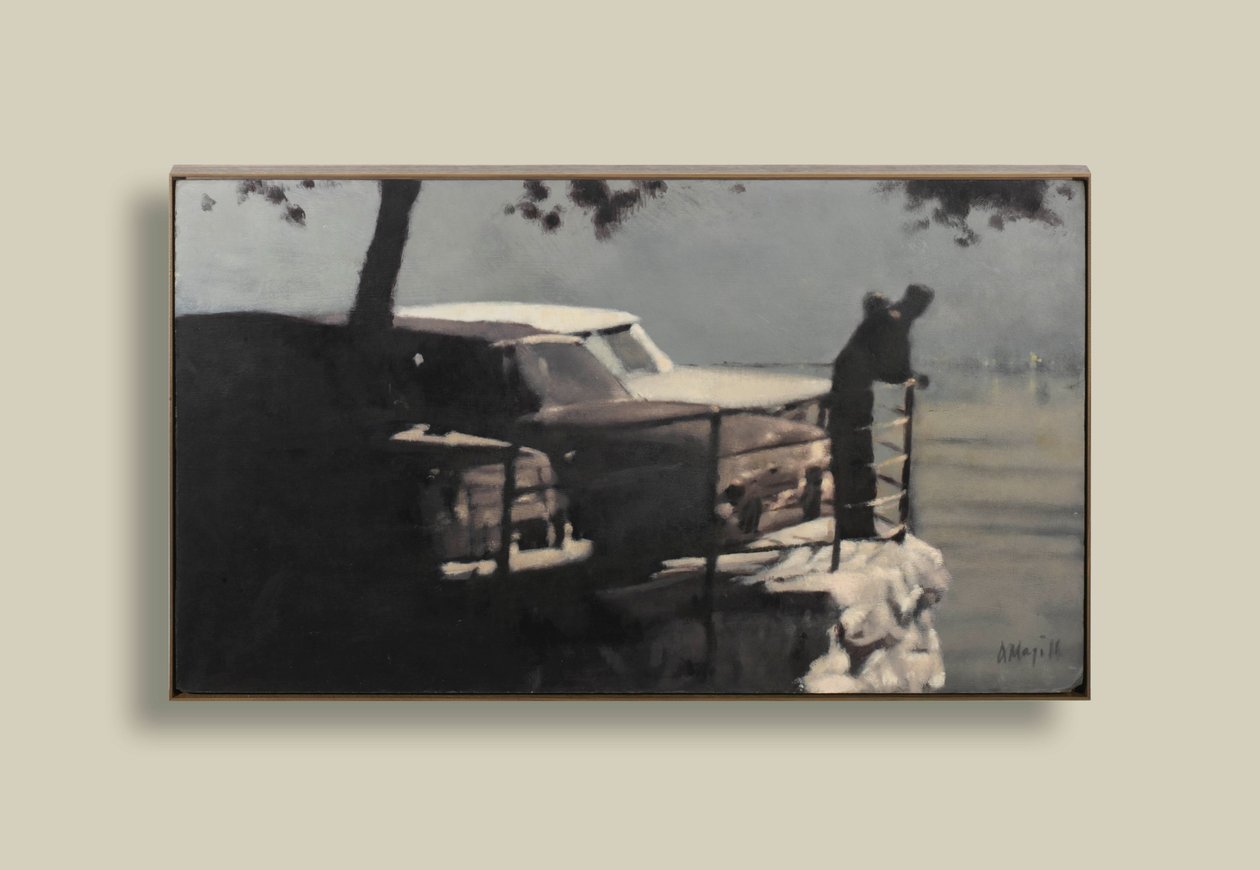 Sen kväll av Anne Magill