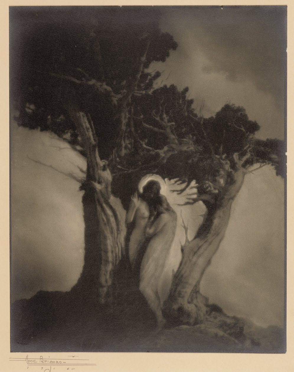 Stormens hjärta av Anne W. Brigman