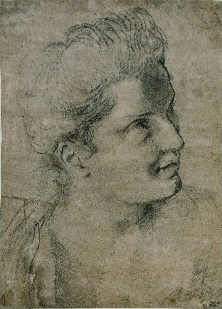 Tête de femme av Annibale Carracci