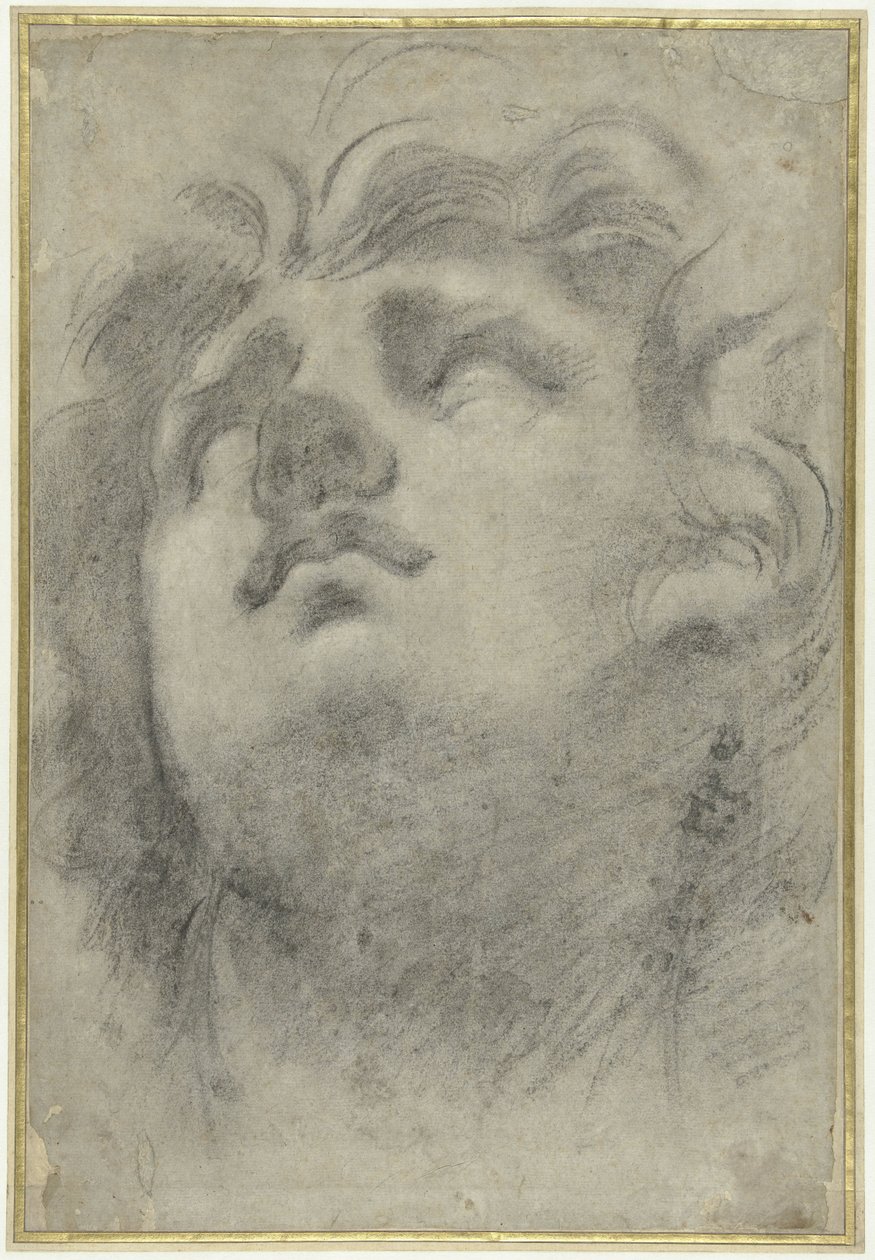 Ser huvudet av en triton av Annibale Carracci